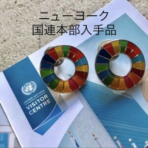 【国連本部正規品】SDGs ピンバッジ　2点【新品未使用品】