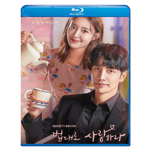 法に則って愛せ　Blu-ray版 ブルーレイ専用ケース付き 韓国ドラマ