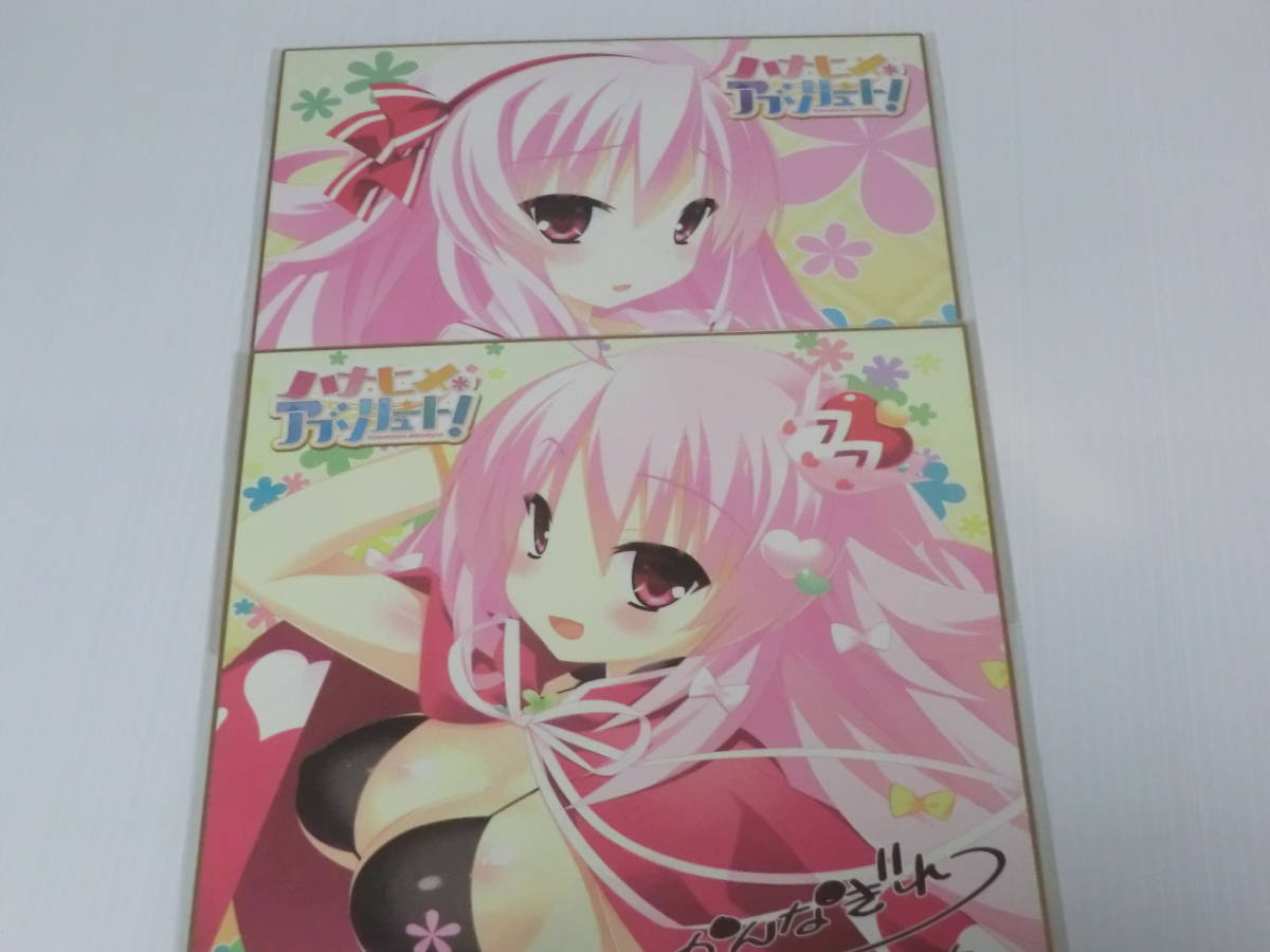 ハナヒメアブソリュート