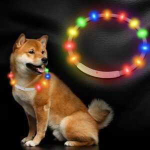 首輪犬 光る ペットLEDライト猫小型犬 中型犬 大型犬 USB充電式 取付簡単