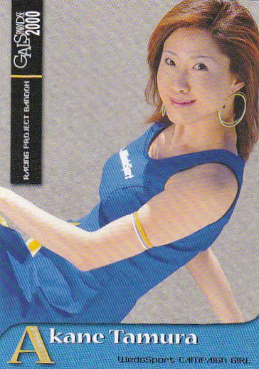 タレントグッズ 田村あかね 写真 はがきサイズ 29枚 レースクイーン