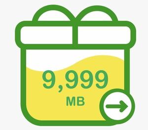  mineo マイネオ パケットギフト 約10GB（9999MB） 