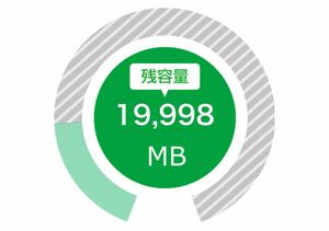 mineo マイネオ パケットギフト 20GB（9999MB×2）