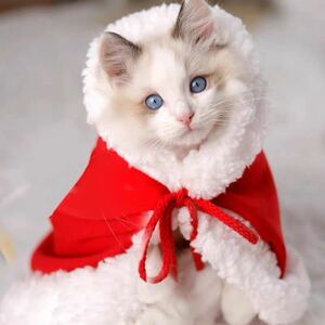 猫服　冬用猫服　裏起毛　猫コスチューム　猫コスプレ衣装　防寒　保温　クリスマス服　クリスマス猫服　フリーサイズ