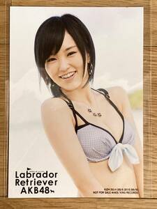 【山本彩】NMB48 AKB48 個別 生写真 / CD「ラブラドール・レトリバー」通常盤 購入特典 / ビキニ リボン ドット ショートヘア 水着 巨乳