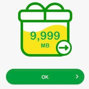 mineo マイネオ パケットギフト 9999MB(約10GB)