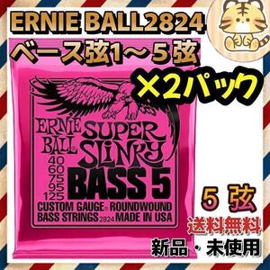 ５弦用 ～ベース弦×2パック ERNIE BALL 2824～ ERNIEBALL