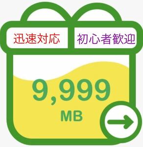mineo パケットギフト 10gb(9,999mb)マイネオ