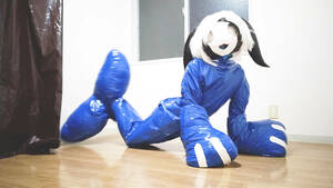 【ヒレっ娘　着ぐるみ】　エナメル　スウツ　コスプレ　ヒレ　マスコット　スーツ　一式　fursuit cosplay 