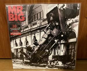 Lean Into It 30th Anniversary 180g transparent red Vinyl Mr. Big　アナログレコード ＬＰ　ミスタービッグ