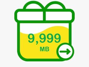【匿名】mineo マイネオ パケットギフト 9,999MB(約10GB)