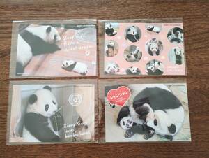 上野動物園　シャンシャンに年賀状を送ろう　当選ポストカード4枚　非売品