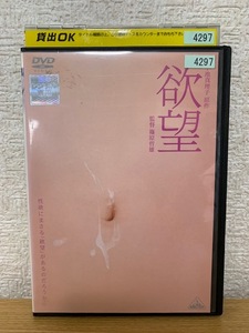  欲望 DVD