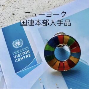 【国連本部正規品】SDGs ピンバッジ　1点　【新品未使用品】
