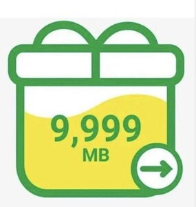 mineo マイネオ パケットギフト　10GB(9999MB)