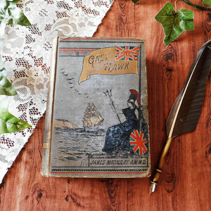 +..。*゜+ 1887年　英国の冒険物語　イギリス　アンティークブック　ヴィクトリア時代の古書　ヴィンテージ本　洋書　古書　アンティーク　