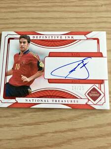 2022 panini national treasures world cup soccer definitive ink auto card RAUL 04/25