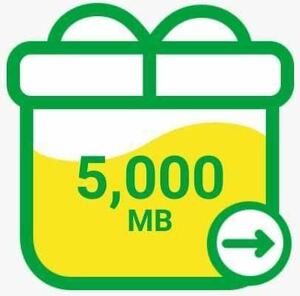 マイネオ mineo パケットギフト 5GB (5000MB)