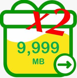【匿名発送】即発送 パケットギフト 20GB (9999MB x2) mineo まとめてお得！
