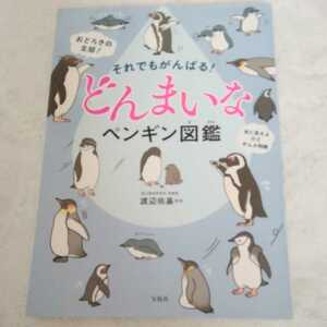 それでもがんばる！　どんまいな　ペンギン図鑑　動物　図鑑　読み物
