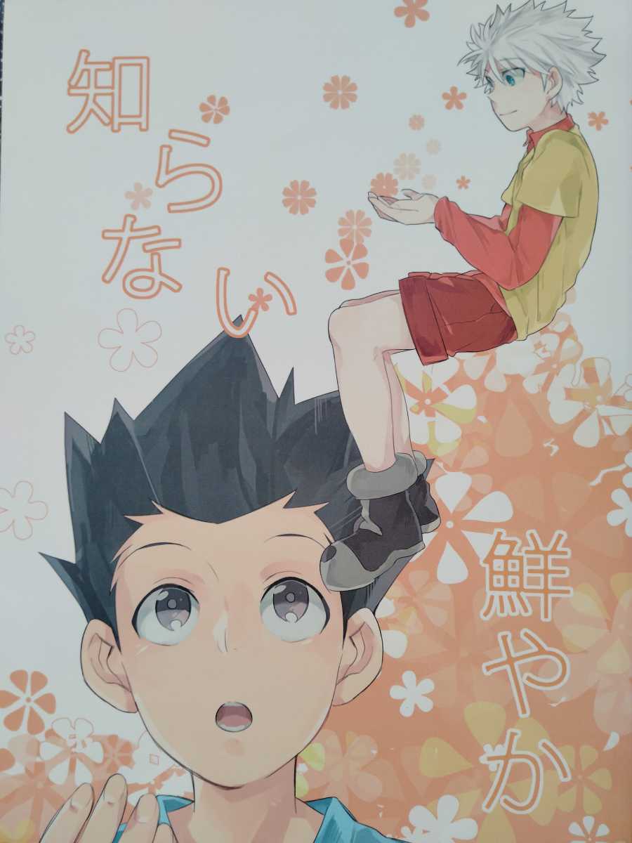 HUNTER × HUNTER同人誌15冊セット ゴン受け中心 ヒソゴン