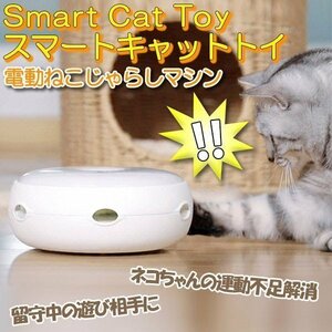 猫 おもちゃ ねこ 猫のおもちゃ 交換用羽毛 1本プレゼント おもちゃ 電動 自動 電池式 自動 子猫 遊具 遊び道具 スマートキャットト Ca1001