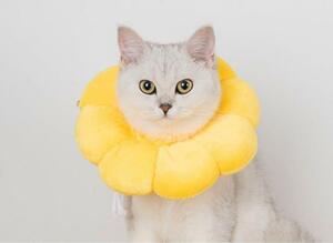 ペット用品　噛み付き防止　舐め防止　ネコ用品　猫　エリザベス ポンデリング 黄色　ねこ きいろ　かみつき