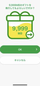 mineo マイネオパケットギフト　２０GB （9999MB×２）