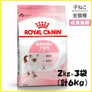 【☆計6㎏☆】ロイヤルカナン キトン 成長後期の子猫用　2kg×3袋　新品未開封