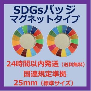 SDGsバッジ　マグネットタイプ　2個セット
