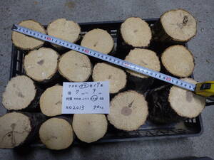 産卵木　ナラ　ＮＯ、2013　約 7.0ｋｇ　100サイズ　☆奈良県ＰＯＷＥＲ☆