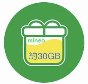 mineo マイネオパケットギフト30GB