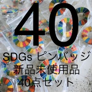 【国連本部純正品】SDGs ピンバッジ 40点セット 【新品未使用】