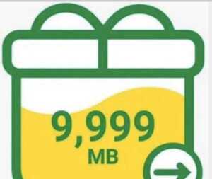 【送料無料】mineo マイネオ パケットギフト　 約10GB分 (9999MB)