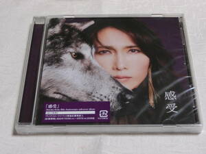 工藤静香 ◆ Shizuka Kudo 感受 セルフカバー CD