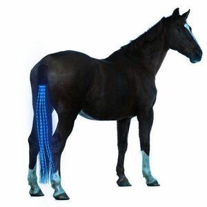 ●EB002：新100cm 乗馬テールライト usbライト LED 尻馬具 馬術 屋外スポーツ装置