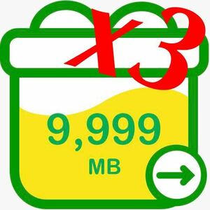 【匿名発送】即発送 パケットギフト 30GB (9999MB x3) mineo まとめてお得！