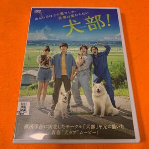 犬部　 DVD