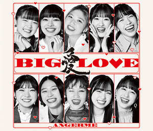 送料無料■アンジュルム　アルバム「BIG LOVE」初回生産限定盤B　■新品未開封■　　　　