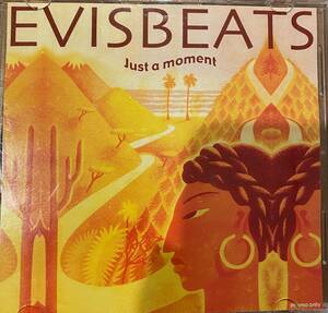 廃盤 EVISBEATS エビスビーツ / JUST A MOMENT Mix-CD DJ KIYO MURO kenta BUDAMUNK NUJABES MINOYAMA TUFUBEATS kenta 田我流 BASI STUTS
