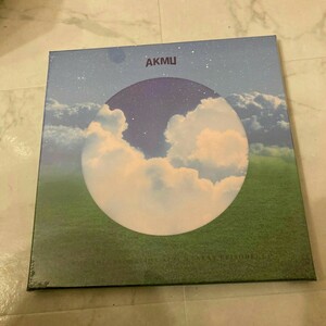 ★送料無料★ AKMU → NEXT EPISODE vinyl LP