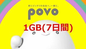povo2.0　1GB　コード入力期限4/30　プロモコード
