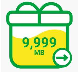 即決価格 マイネオ mineoパケットギフト 約10GB (9,999MB)