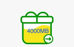 mineo マイネオ　パケットギフト　4GB（4000MB)　送料無料