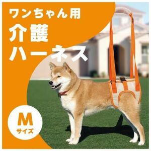 ワンちゃん用　介護ハーネス　Mサイズ【毎日発送】犬用　歩行補助　リード