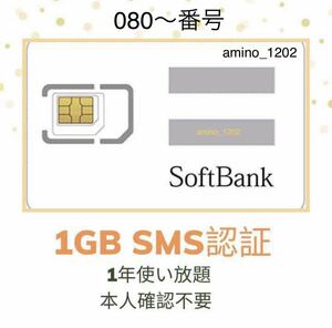 (ゆうパケット発送)SoftBank プリペイドSIM データ通信　1GB/月　SMS受信可能
