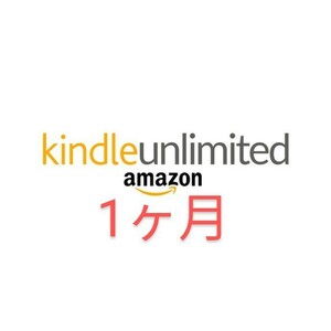 Kindle Unlimited（キンドルアンリミテッド）1ヶ月 Netflix ディズニープラス Tシャツ＊
