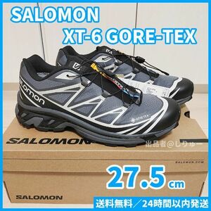 新品 27.5cm サロモン SALOMON XT-6 GORE-TEX ゴアテックス スポーツ スタイル シューズ スニーカー メンズ L41663500 送料無料