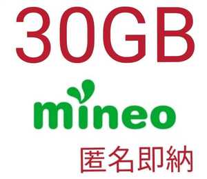 mineo マイネオパケットギフト 約30GB(9999MB x 3)