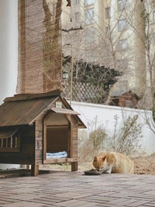 【美品】サーモウッド製 ドッグハウス 猫ハウス 犬小屋 防風 防雨 窓付き 風通し 耐久性 保温性 小型犬 中型犬 大型犬用 Lサイズ